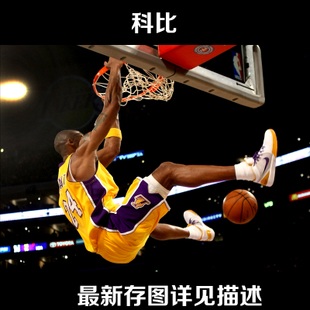 办理成人教育毕业证